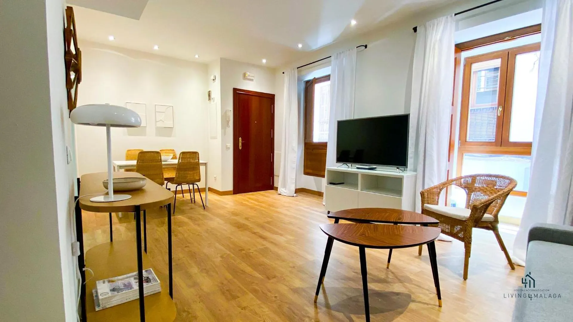 Living4Malaga The Eagle Wings Apartment  Malaga